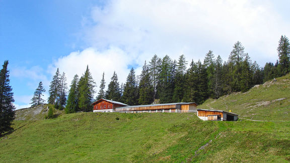 Impressionen - Zellerhof in Ruhpolding